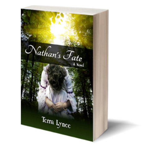 New Civil War Novel-Nathan's Fate